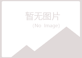 鹤岗兴山又菱采矿有限公司